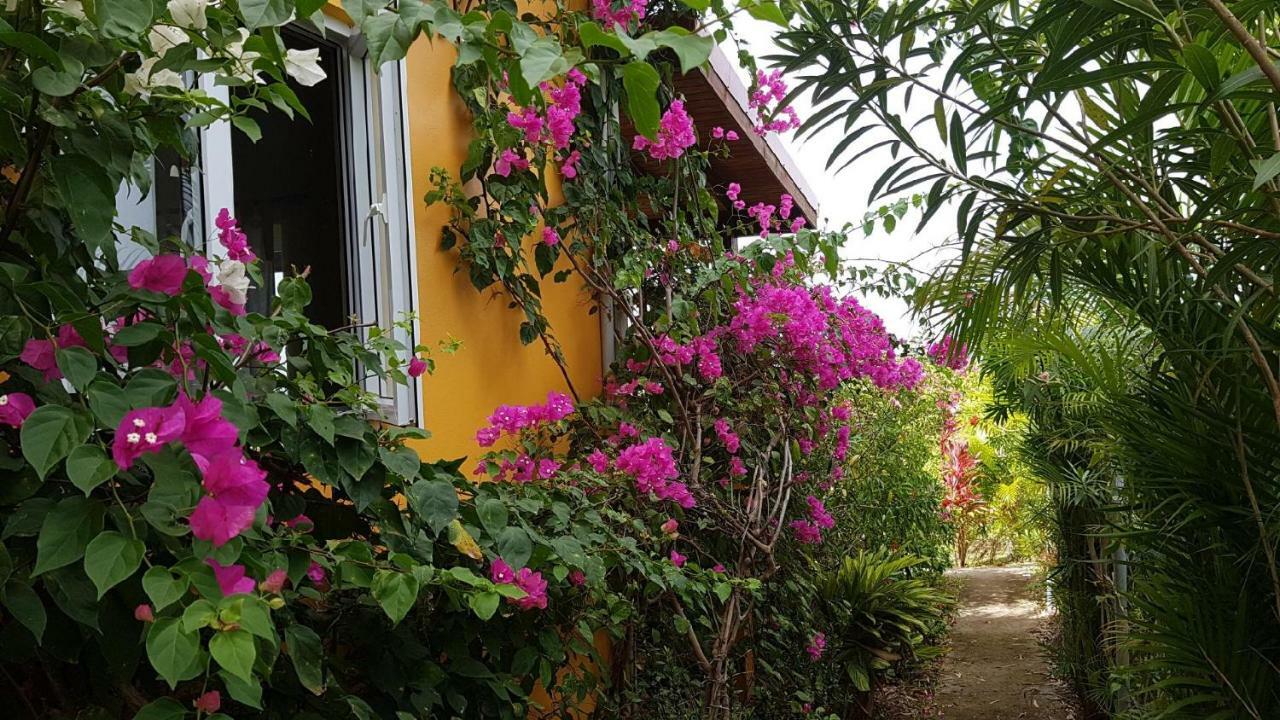 Villa Kaye Mango à Soufrière Extérieur photo