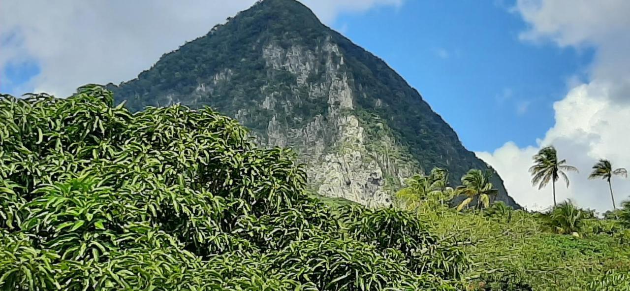 Villa Kaye Mango à Soufrière Extérieur photo